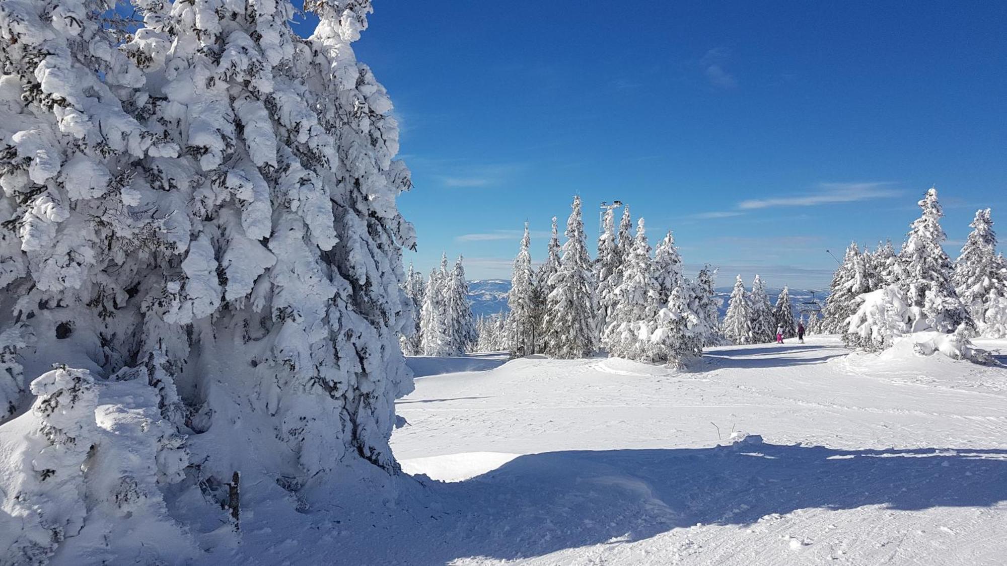 Marrilux Apartments Residence Hill Kopaonik Zewnętrze zdjęcie